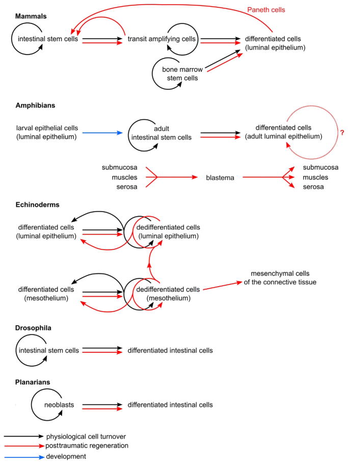 Figure 7.2