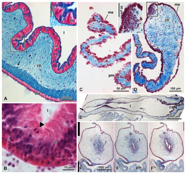 Figure 7.4