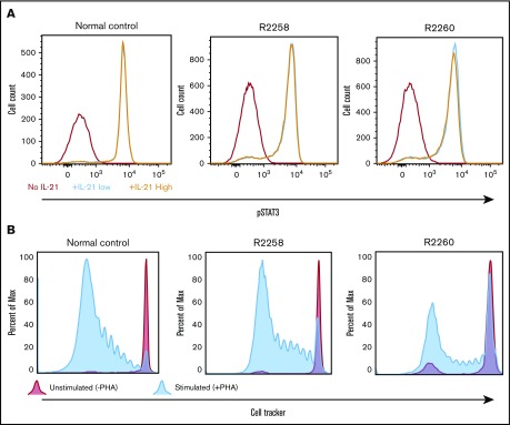 Figure 6.