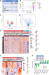 Figure 7. MPN gene expression. Gene expression in ET, PV, PrePMF and MF cells or enriched CD34-positive hematopoietic stem cells was studied by RNA-seq. A, Table summarizes the cell types and disease types included in the differential gene expression analyses. B, PCA of the gene expression patterns shows clustering of CD34 cells versus the BMMC/PBMC and lymphocyte-depleted PBMC. C, A volcano plot illustrates differentially expressed genes between the MF and the ET/PV/PrePMF cohorts when the mononuclear cell (MC) samples were analyzed. The red dots represent 223 genes significantly upregulated and 99 downregulated. D, Volcano plot illustrates differentially expressed genes between CD34-positive HSPC from MF versus ET/PV/PrePMF cohorts. The red dots show four genes significantly upregulated and five downregulated. E, The heatmap represents gene expression differences of the populations in the volcano plot (C), with patients in columns and genes in rows. Clinical characteristics of the patients are shown above the heatmap as a continuous variable or discrete variable as indicated in the figure legend. F, A heatmap of gene expression differences of the populations in the volcano plot (D); components and labels are the same as in E. G, Bar graph shows log fold change gene expression of the six genes that were found to be significantly differentially expressed in both the MC and CD34-enriched cells (CD34).