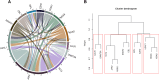 Figure 3. Mutational complexity in myelofibrosis. A Circos plot (A) depicts the relative frequency and pairwise co-occurrence of the top 12 genes mutated in patients with MF. The length of the arc corresponds to the frequency of mutations in the first gene, and the width of the ribbon corresponds to the percentage of patients who also had a mutation in the second gene. Pairwise co-occurrence of mutated genes is denoted only once, beginning with the first gene in the clockwise direction. B, The relative co-occurrence of mutated genes in dendrogram form; the genes on the same branch are co-mutated more frequently.
