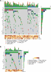 Figure 1. Oncoplot of the most frequently mutated genes in myelofibrosis and ET/PV/PrePMF. A, Summary of the most frequent (>4%) mutations in the MF cohort (N = 106) based on a total of 237 genes and 490 unique variants. The Oncoplot arranges patients along the horizontal axis, while genes and their respective mutations are presented vertically for each patient. The plot is divided into four parts: in the upper area is a bar graph of all somatic mutations in each patient: missense, nonsense single-nucleotide variations, frameshift insertions and deletions, in-frame deletions and splice site mutations per patient (see legend for color codes for variant type). The middle panel summarizes all somatic variants found with a frequency of at least 5%. The right-hand panel summarizes the gene variants in a bar graph, and the length of the bar depicts the frequency at which the gene is mutated. The lower panel is a heatmap depiction of clinical parameters of each patient. White blood cell (WBC) count, platelet count (PLT), hemoglobin levels, DIPSS and spleen size are shown. B, Summary of the most frequent mutations in the ET/PV/PrePMF cohort (N = 31) based on a total of 77 genes and 118 unique variants. The panel descriptions are same as in A.