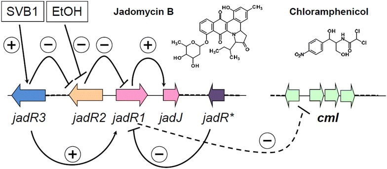 Fig. 1