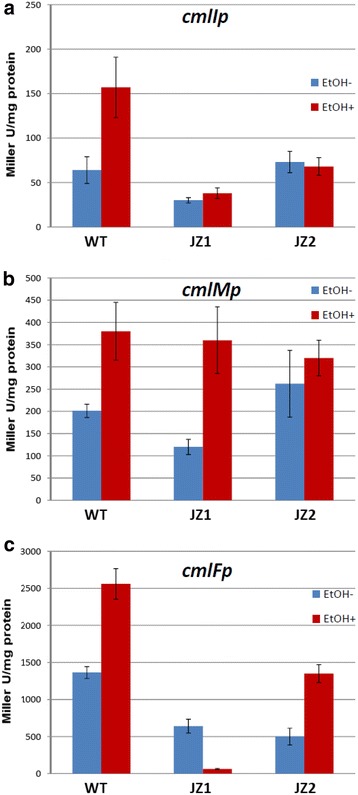 Fig. 4