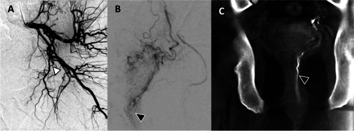 Fig. 9