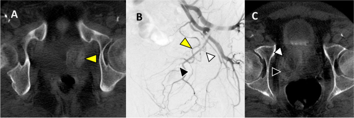Fig. 6