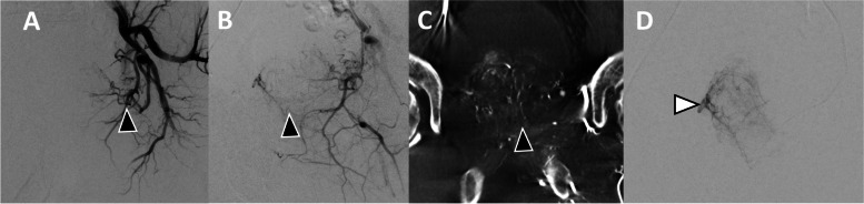 Fig. 10