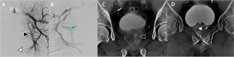 Fig. 8