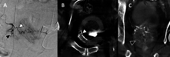 Fig. 5