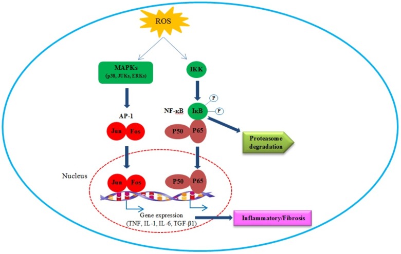 Fig. (2)