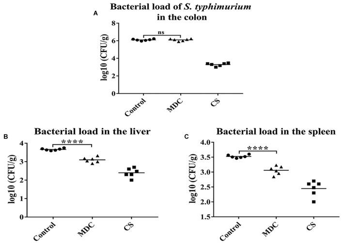 FIGURE 3