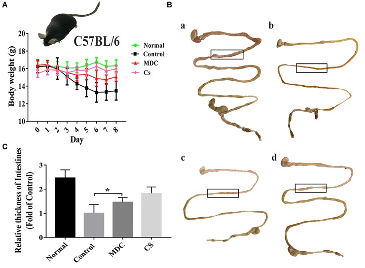 FIGURE 2