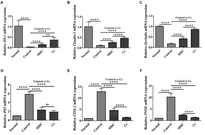 FIGURE 11