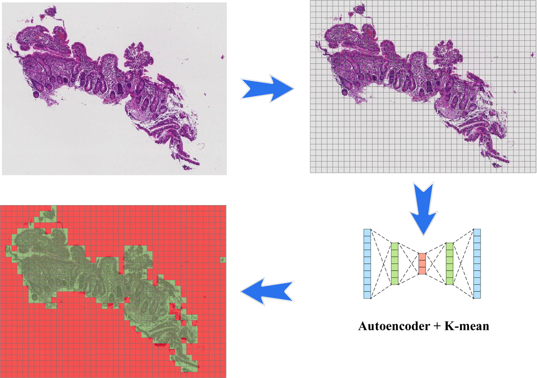 Figure 2.