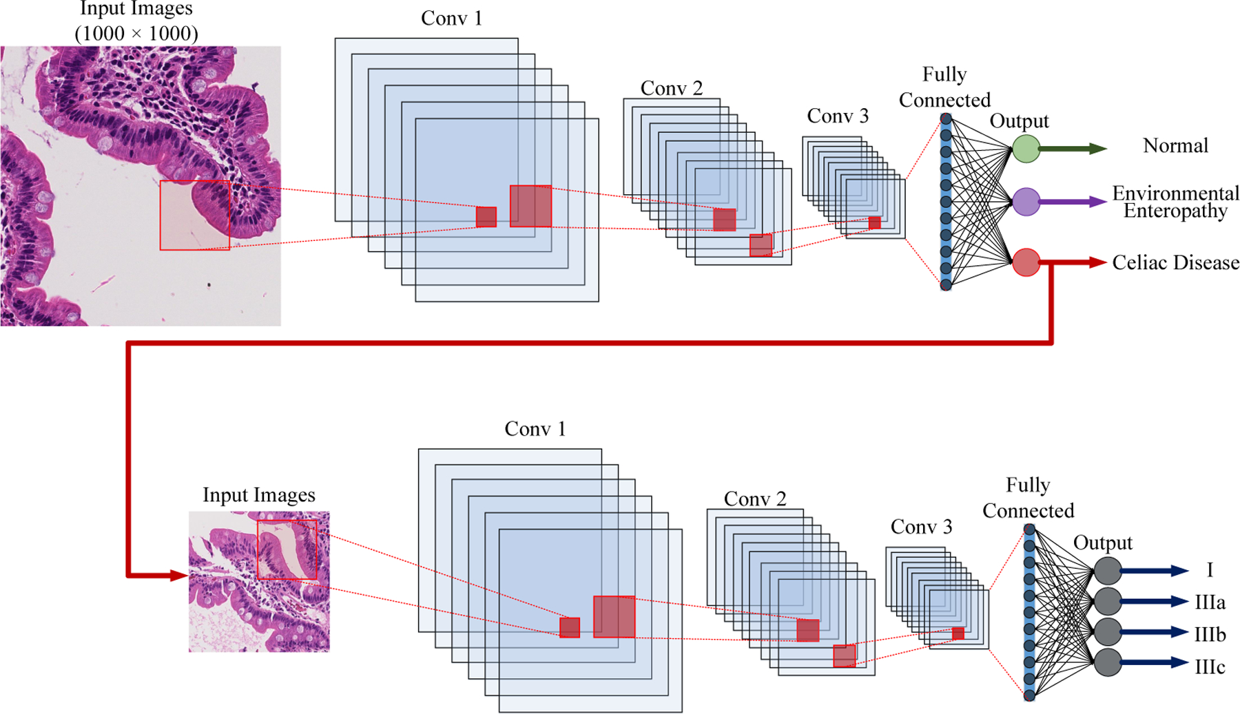 Figure 7.