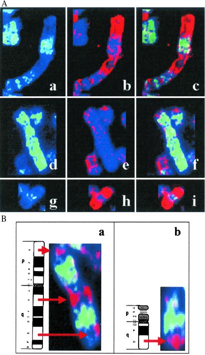 Fig 2.