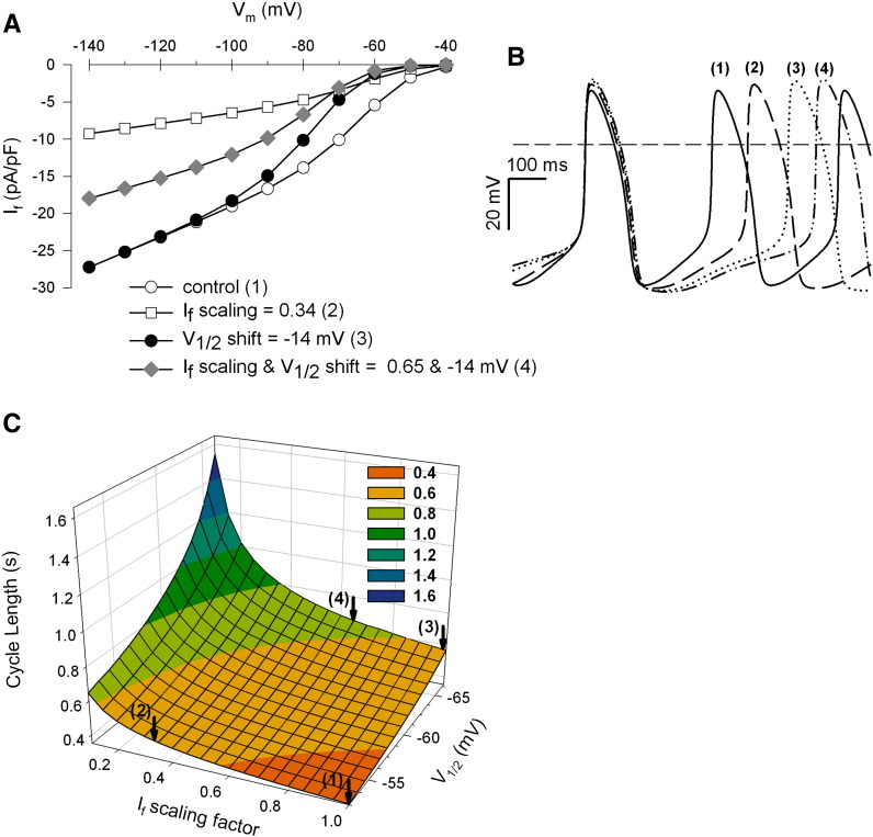 Fig. 8