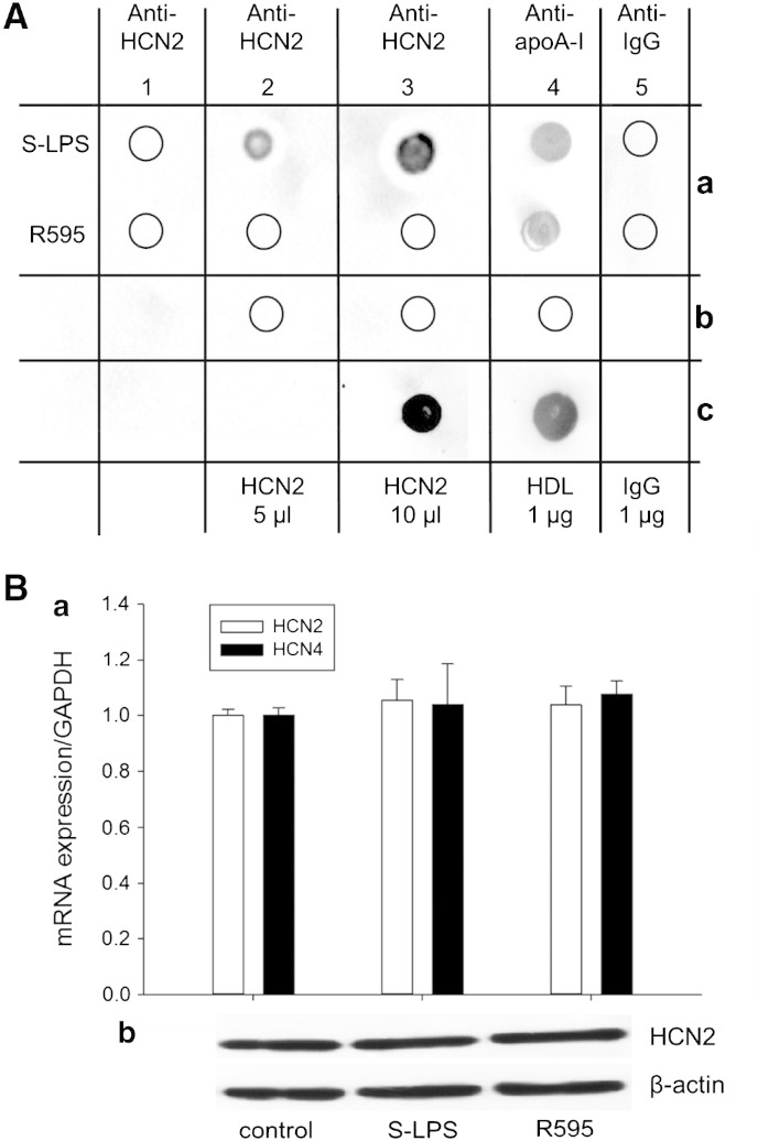 Fig. 4