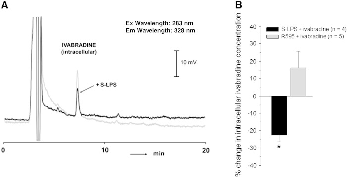 Fig. 7