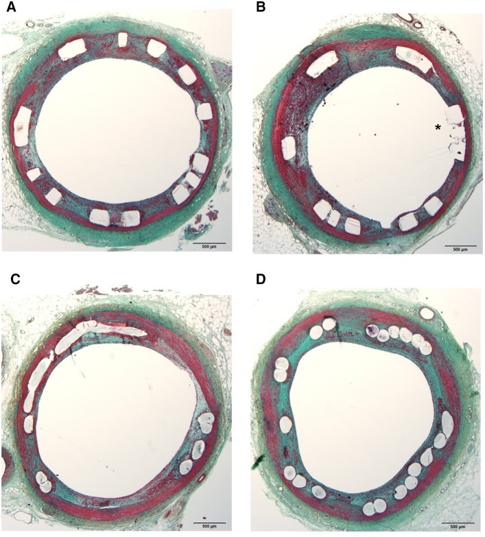 Fig. 6