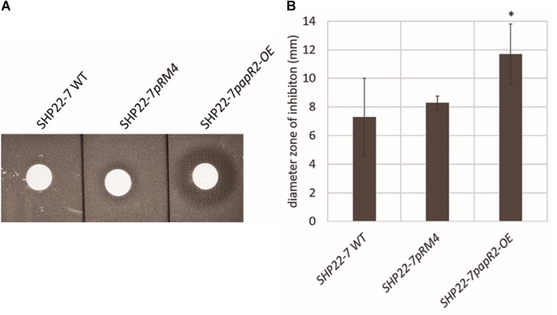 FIGURE 4