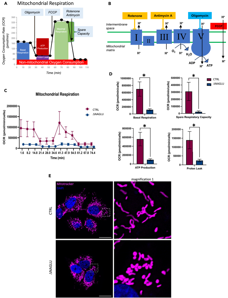 Figure 6