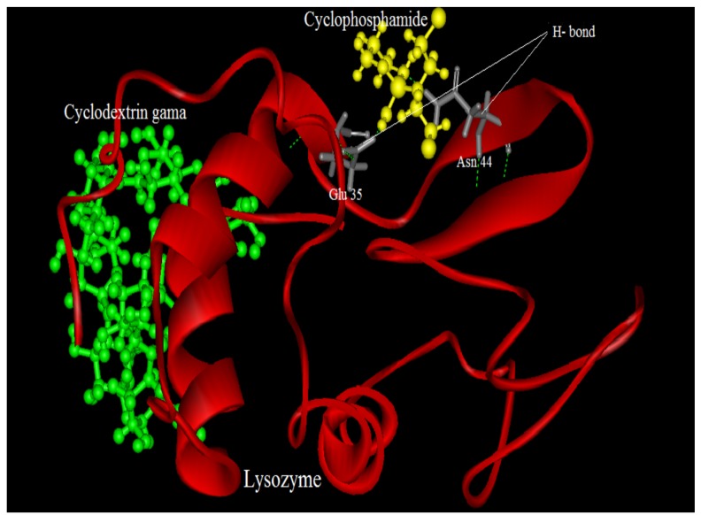 Figure 13