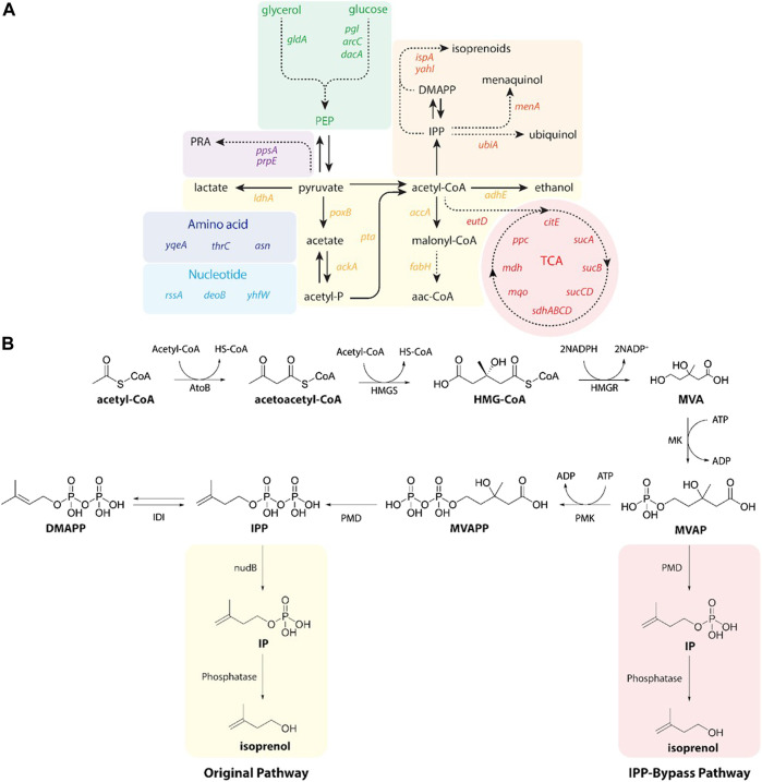 FIGURE 2