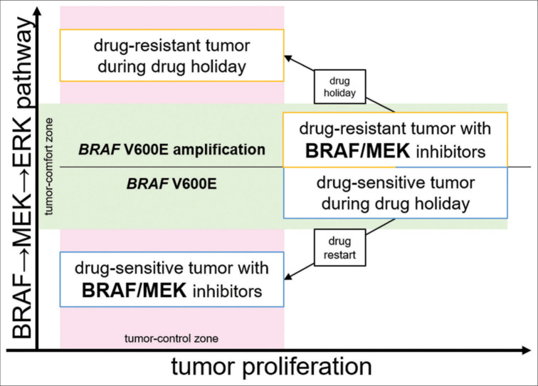 Figure 6: