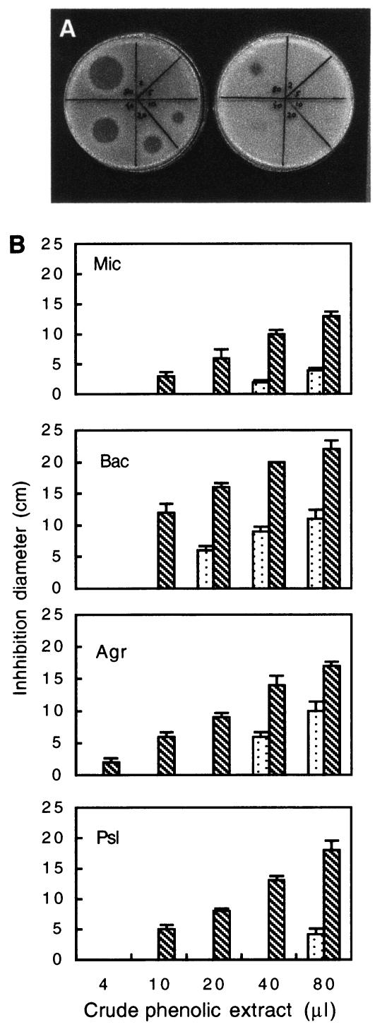 FIG. 7.