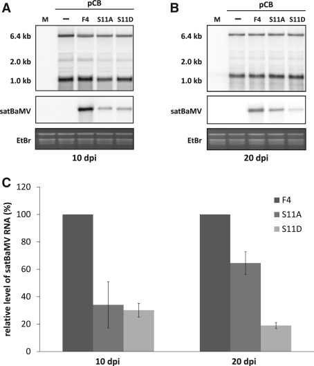 Figure 6.