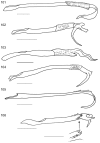 Figures 101–106.