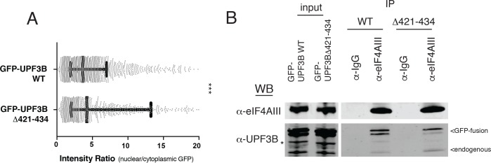 Figure 6—figure supplement 2.