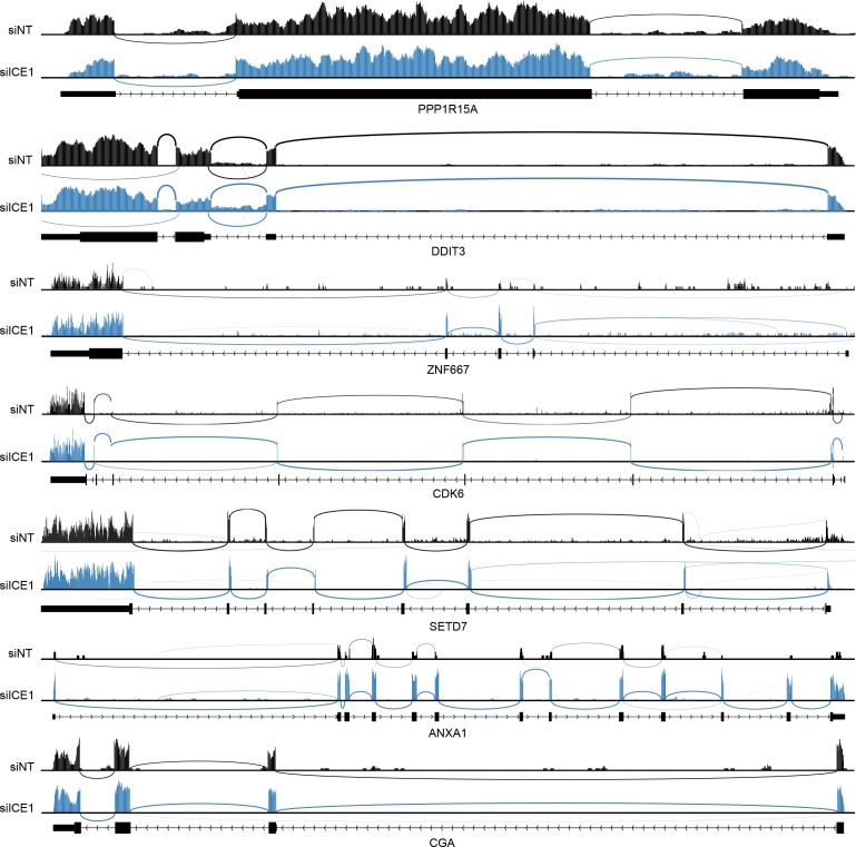 Figure 2—figure supplement 2.