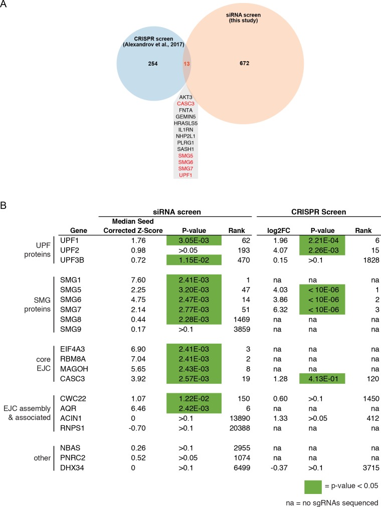 Figure 1—figure supplement 2.