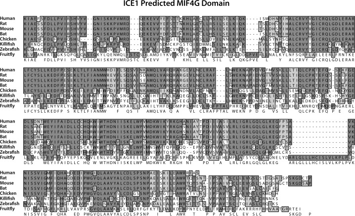 Figure 1—figure supplement 3.