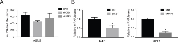 Figure 3—figure supplement 2.