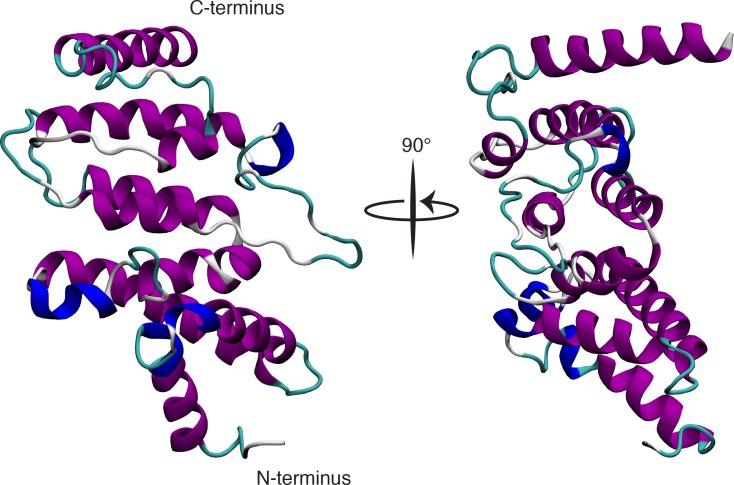 Figure 1—figure supplement 4.