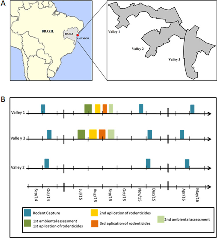 Fig 1