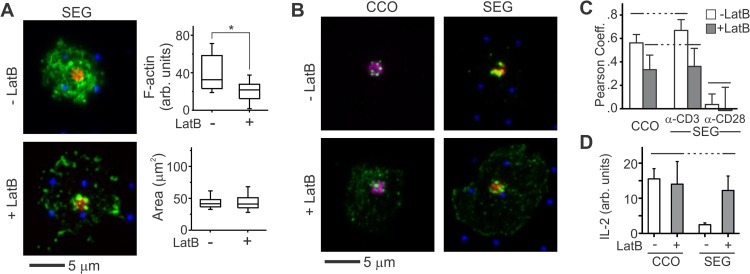 FIG 3