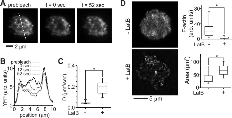 FIG 2