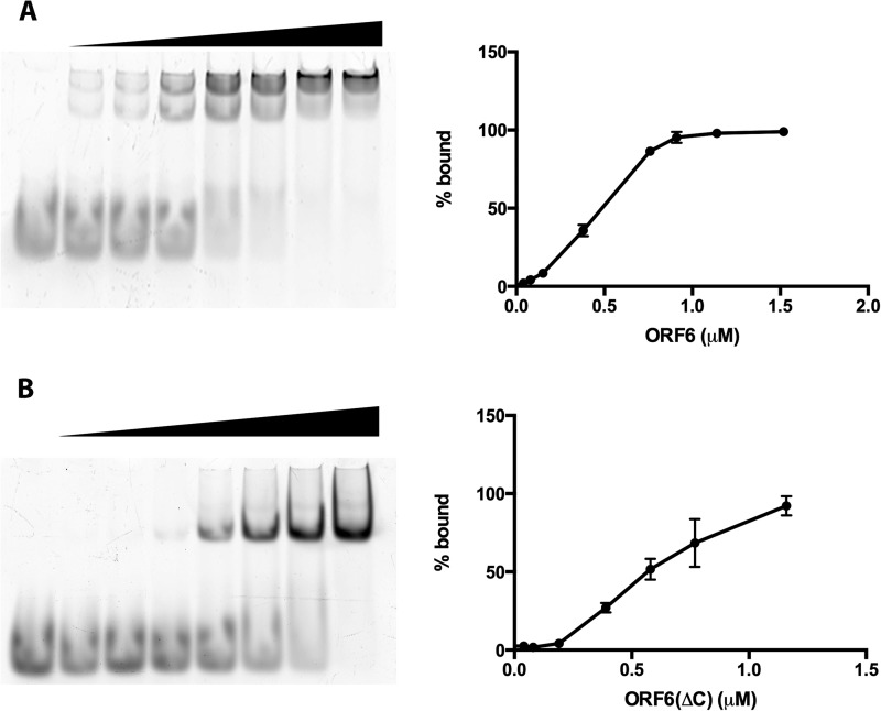 FIG 4