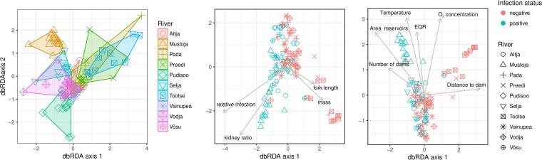 FIG 3 