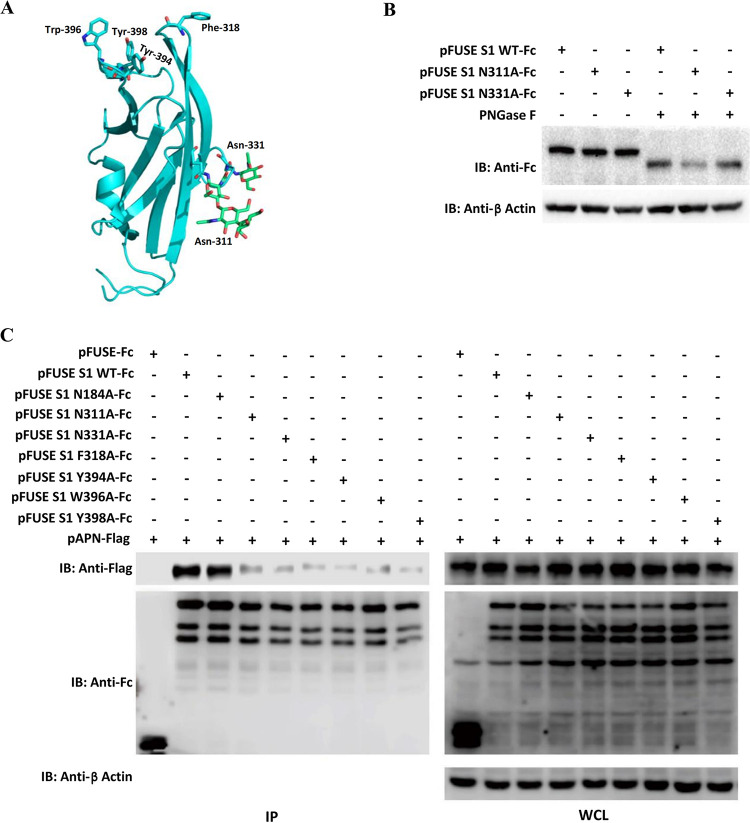 FIG 4