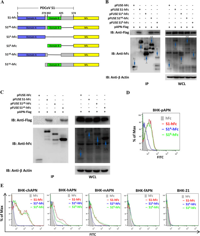 FIG 3