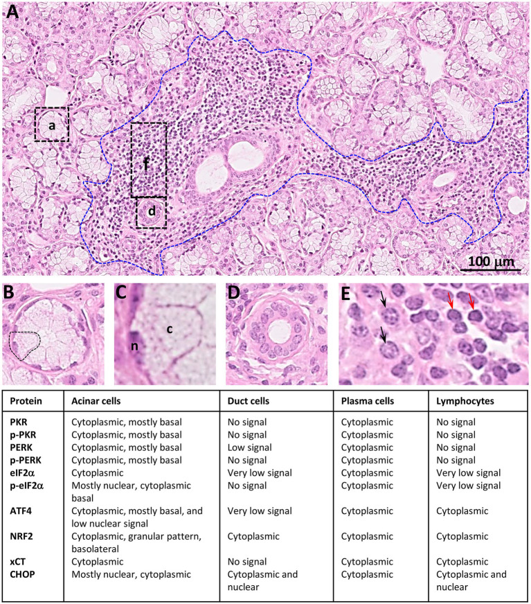 Figure 16