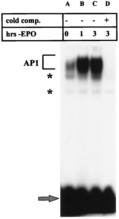 FIG. 7