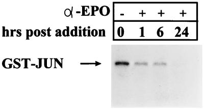 FIG. 5