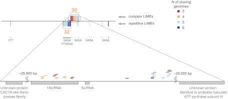 Fig. P1.