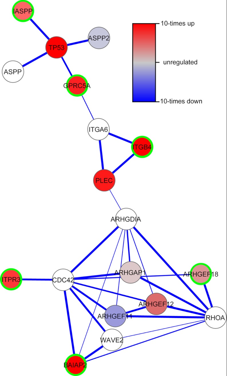 Fig. 7.